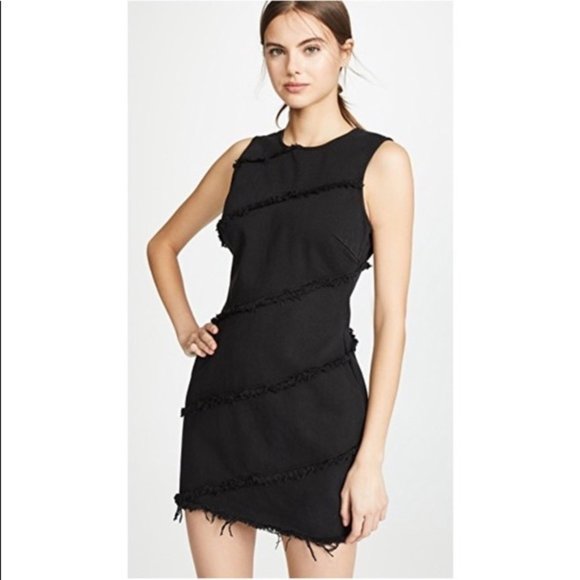 Alexander Wang Dresses & Skirts - NWT Alexander Wang Diagonal Seamed Dress (Black)